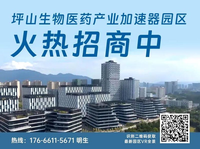 深圳产业咨询：洞察未来趋势，引领发展潮流
